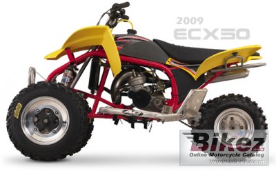 2010 Cobra ECX50 photo